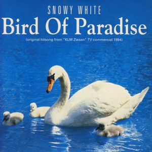 NITE-Snowy White